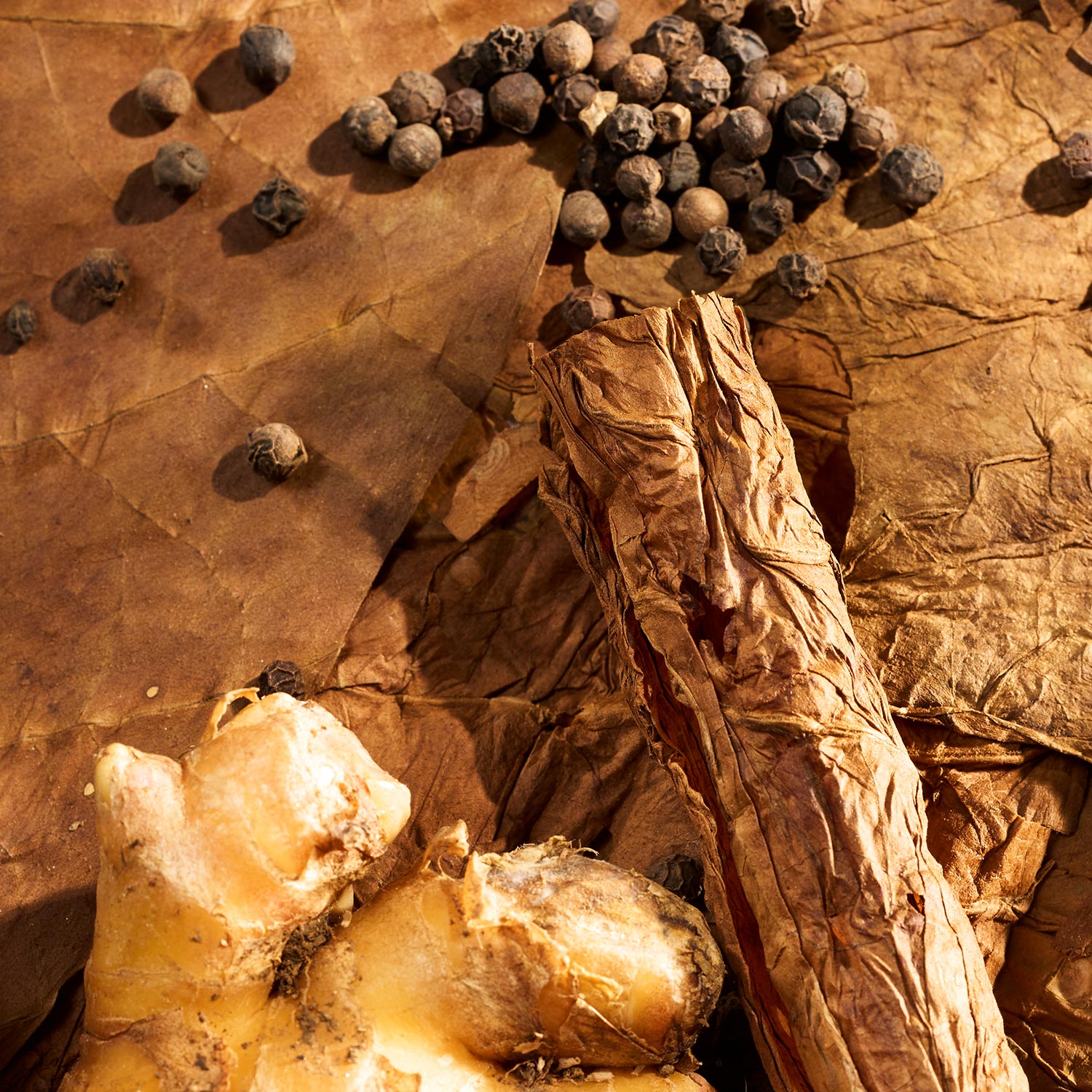 Dendur Eau de Parfum 75ml - Image 3