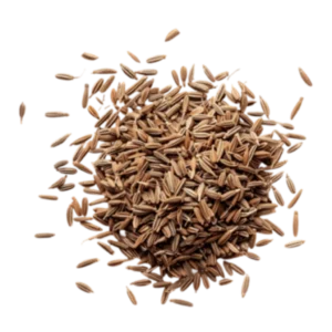 Cumin Powder