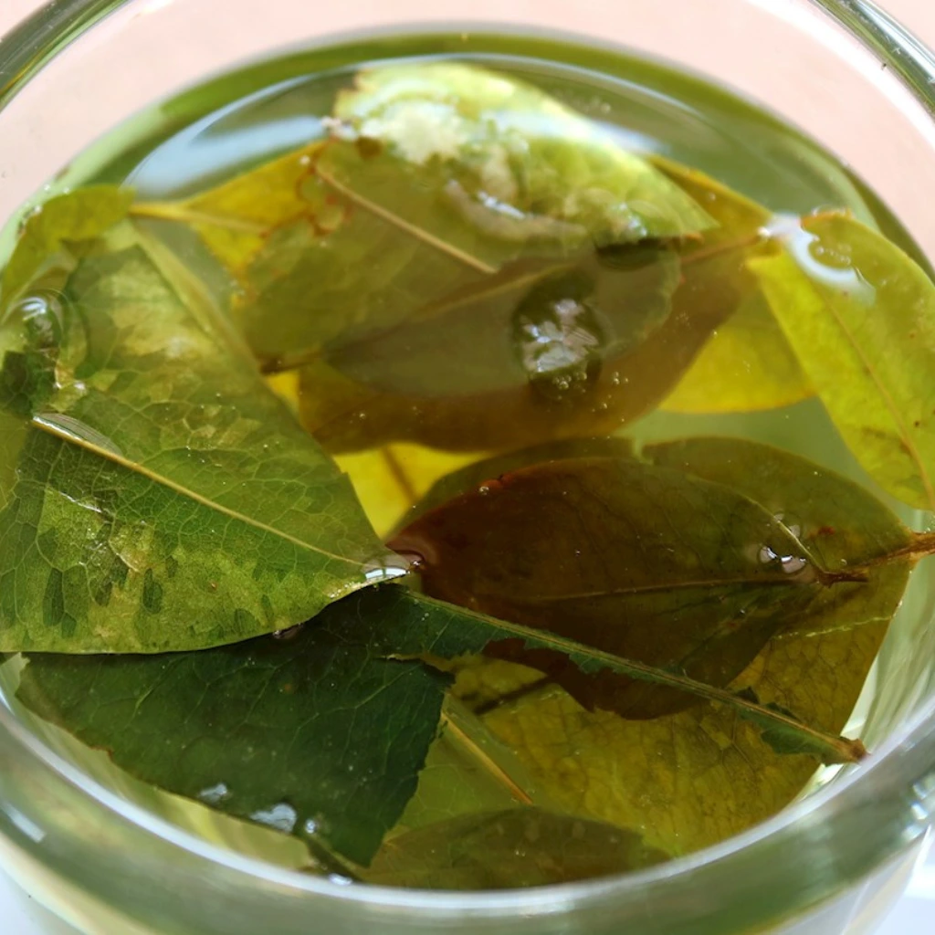 Mate de coca (Coca tea)